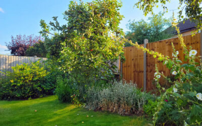 Quelle clôture choisir pour se protéger du vis-à-vis sans assombrir son jardin ?